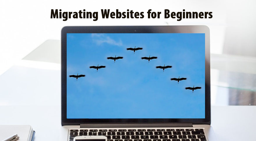 2 stress free methods to migrate your website to another hosting provider